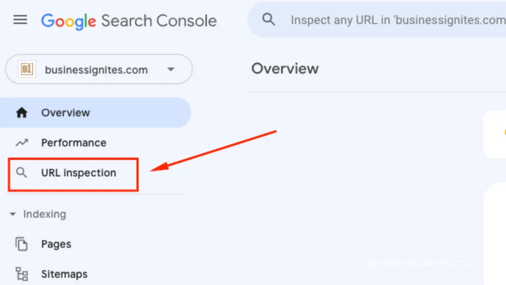 url inspection - business ignite